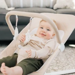 Alpine Deluxe Portable Bouncer