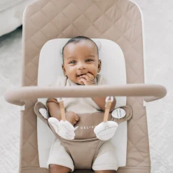Alpine Deluxe Portable Bouncer