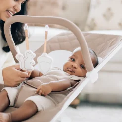 Alpine Deluxe Portable Bouncer
