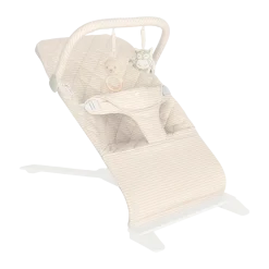 Alpine Deluxe Portable Bouncer
