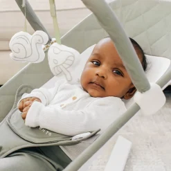 Alpine Deluxe Portable Bouncer