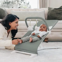 Alpine Deluxe Portable Bouncer