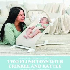 Alpine Deluxe Portable Bouncer