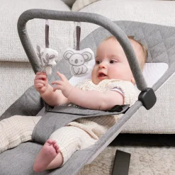 Alpine Deluxe Portable Bouncer