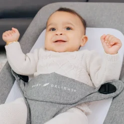 Alpine Deluxe Portable Bouncer