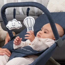 Alpine Deluxe Portable Bouncer