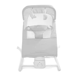 Alpine Wave Deluxe Bouncer