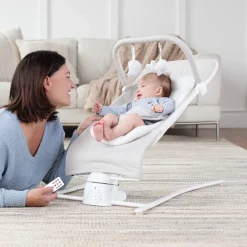 Alpine Wave Deluxe Bouncer