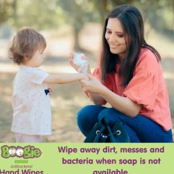 Antibacterial Hand Wipes (5 Pack)