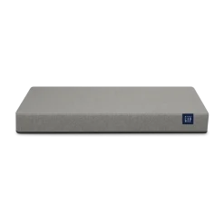 babyGap TrueSleep 2-Stage Deluxe Crib and Toddler Mattress