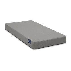 babyGap TrueSleep 2-Stage Deluxe Crib and Toddler Mattress