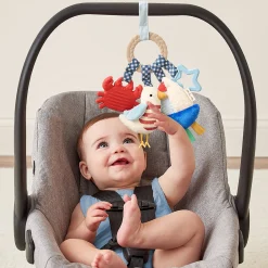 Bitzy Busy Ring Teething Activity Toy