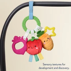 Bitzy Busy Ring Teething Activity Toy