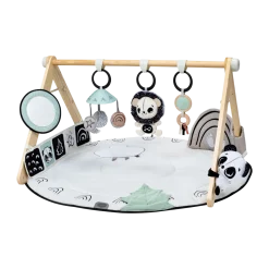 Black & White Gymini