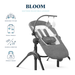 Bloom Soothing Adjustable Infant Lounger