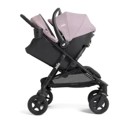 Caraway Whirl Stroller