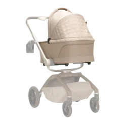 Carriage Accessory