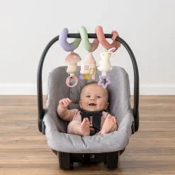 Car Seat Activity Toy