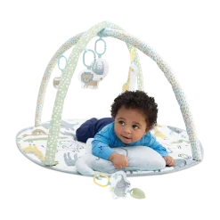 Carter's Activity Gym