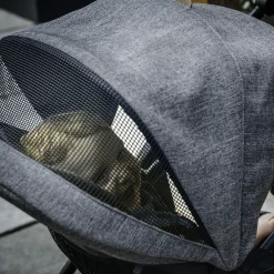 Corso Primo Modular Stroller