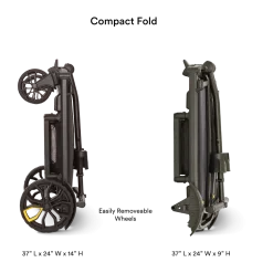 Cruiser City XL Essentials