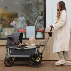 Cruiser Wagon Retractable Canopy XL