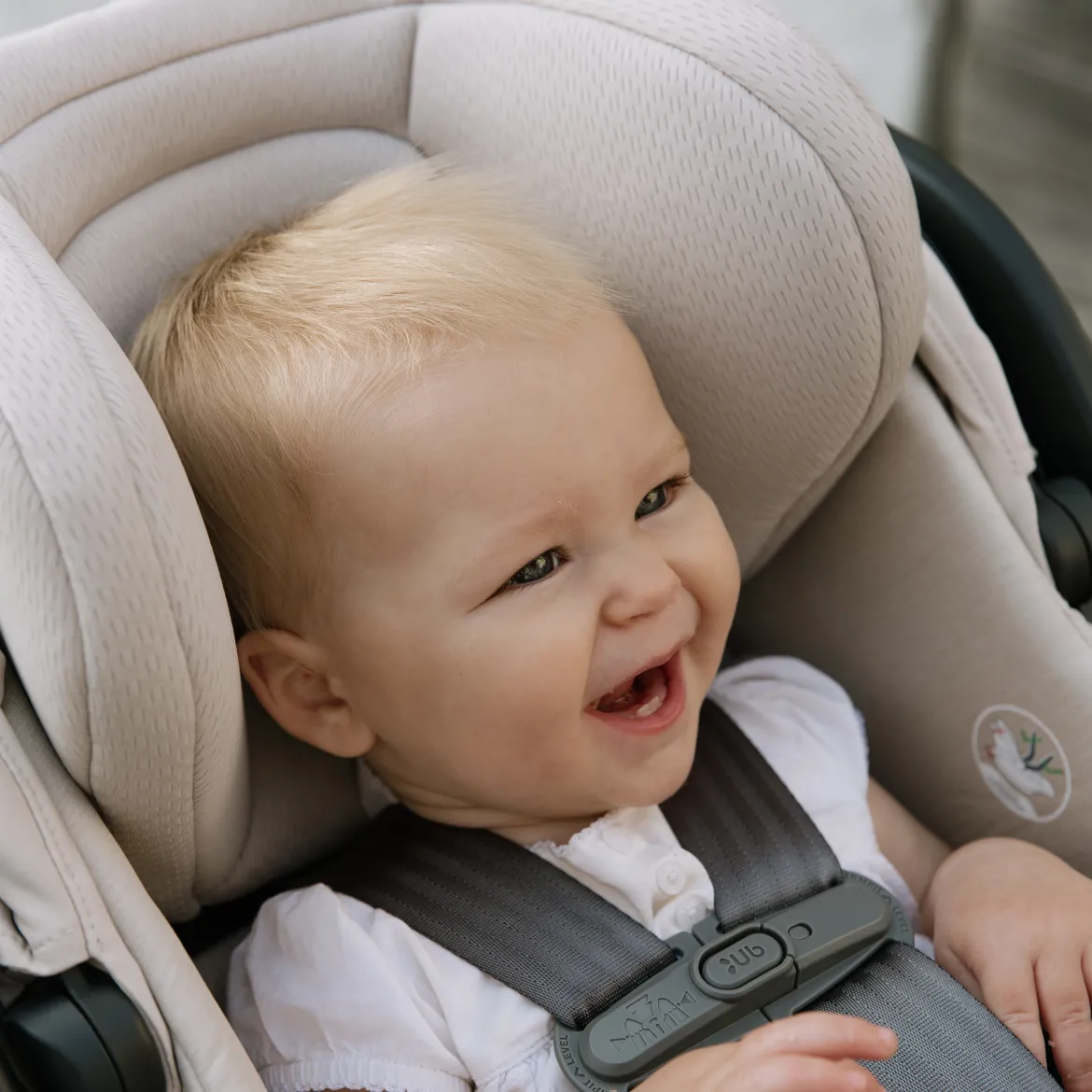 Cruz V3 Stroller & Mesa V3 Infant Car Seat Travel System