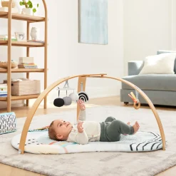 Discoverosity Montessori Activity Gym