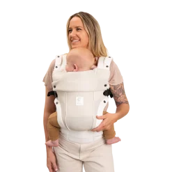 Elevate Air Carrier With Tote And Infant Pillow