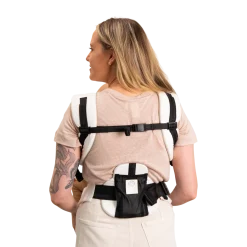 Elevate Air Carrier With Tote And Infant Pillow