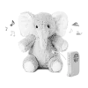 Eli the Elephant