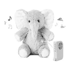 Eli the Elephant