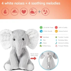 Eli the Elephant