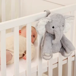 Eli the Elephant