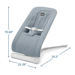 E-Motion Auto-Glider & Bouncer
