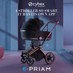 e-PRIAM Stroller