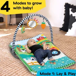 Farm Explorers Busy Barnyard Grow With Me Activity Gym