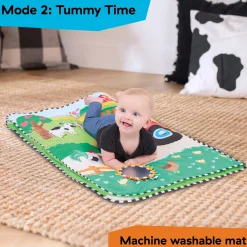 Farm Explorers Busy Barnyard Grow With Me Activity Gym