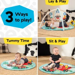 Farm Explorers Happy Harvest Touch & Feel Activity Gym