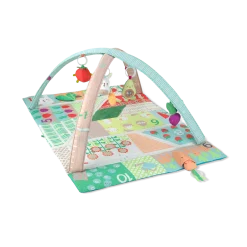 Farmstand Activity Gym