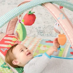 Farmstand Activity Gym