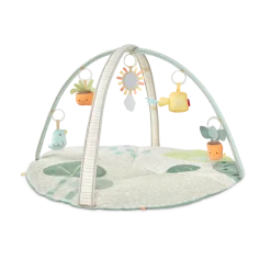 Garden Oasis Activity Gym