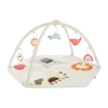Geometric Wonders Baby Play Gym