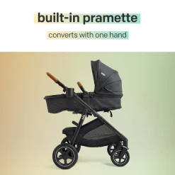Ginger DLX And Rue Travel System