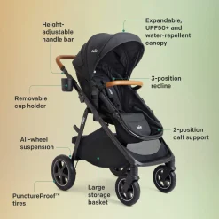 Ginger DLX And Rue Travel System
