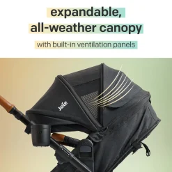 Ginger DLX Stroller