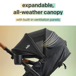 Ginger DLX Stroller