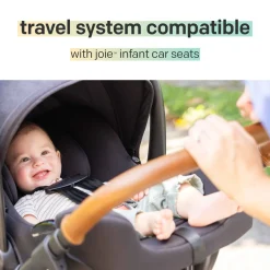Ginger DLX Stroller