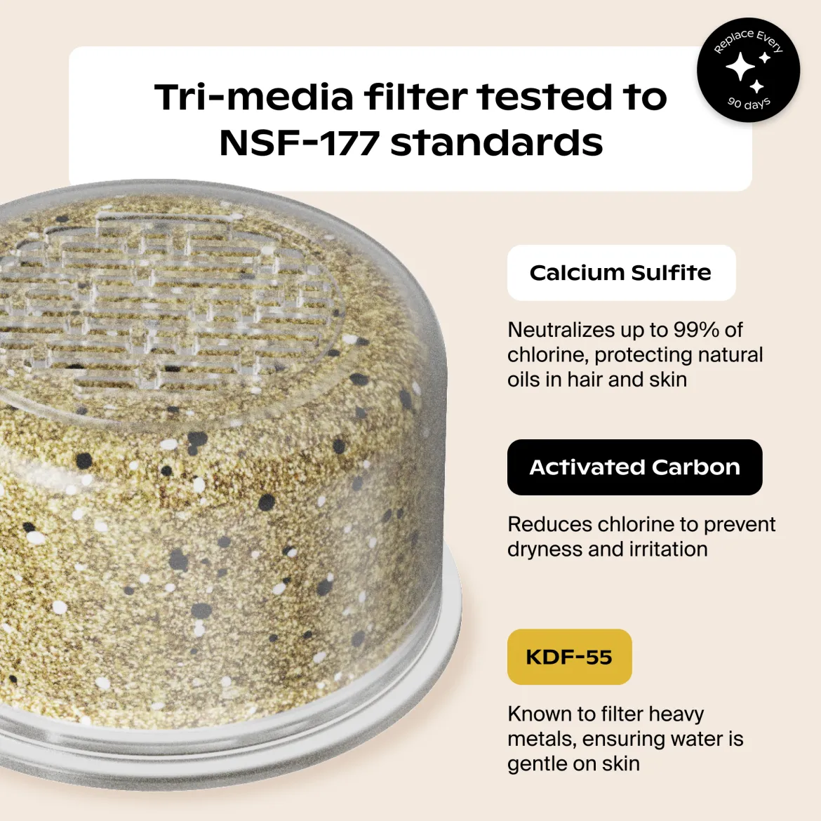 Handheld Filtered Showerhead