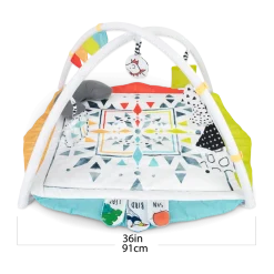Hello Baby Play Gym